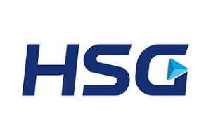 Hsg